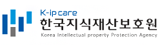 한국지식재산보호원